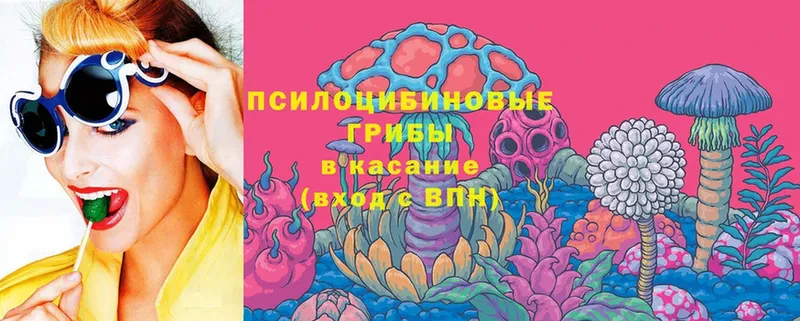 как найти закладки  гидра ссылки  Псилоцибиновые грибы Cubensis  Верещагино 